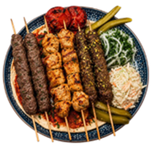 Grilled skewers served with hummus and pita bread